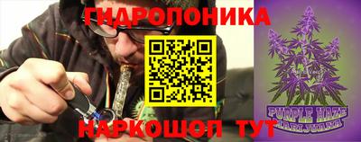 кокс Гулькевичи